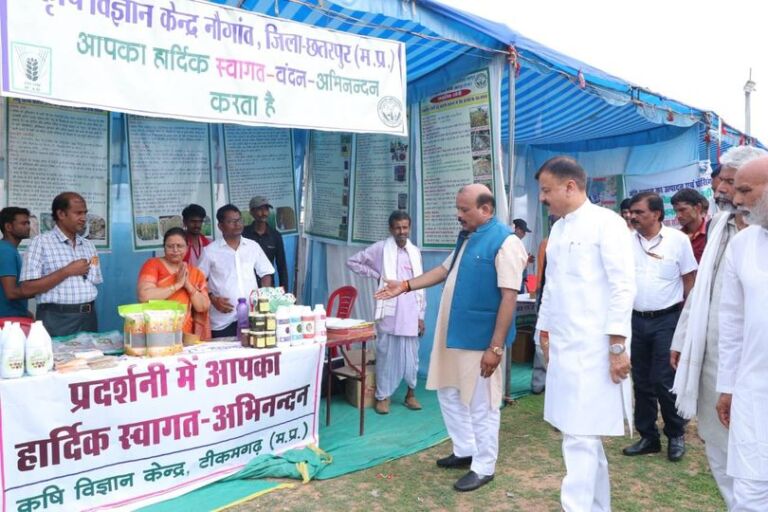 सतना हाफ मैराथन 2025 : षष्टम संस्करण में नया कीर्तिमान  5332 धावकों ने रचा इतिहास